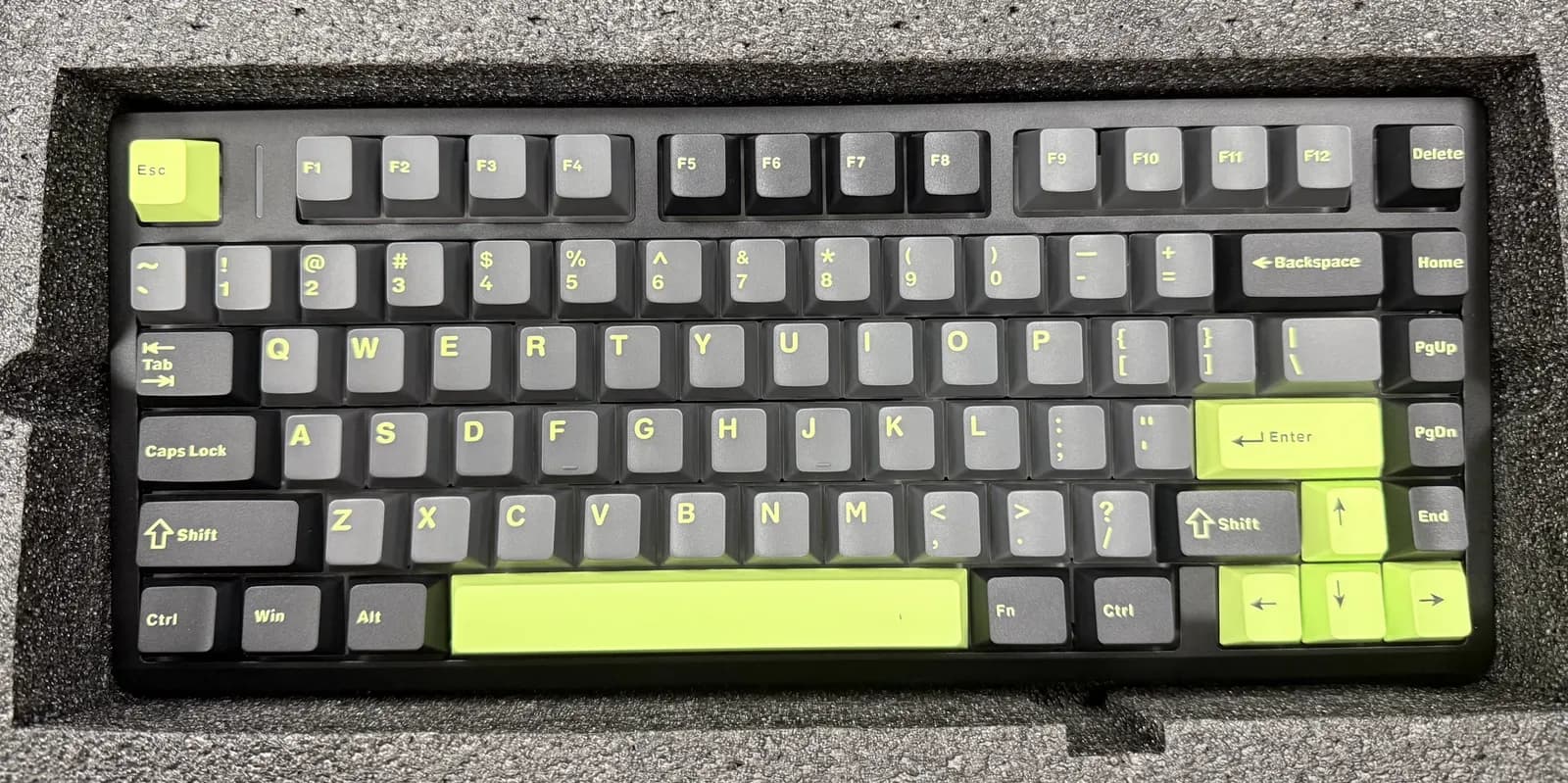독거미 M75